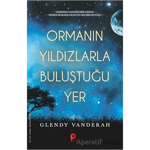 Ormanın Yıldızlarla Buluştuğu Yer - Glendy Vanderah - Peta Kitap