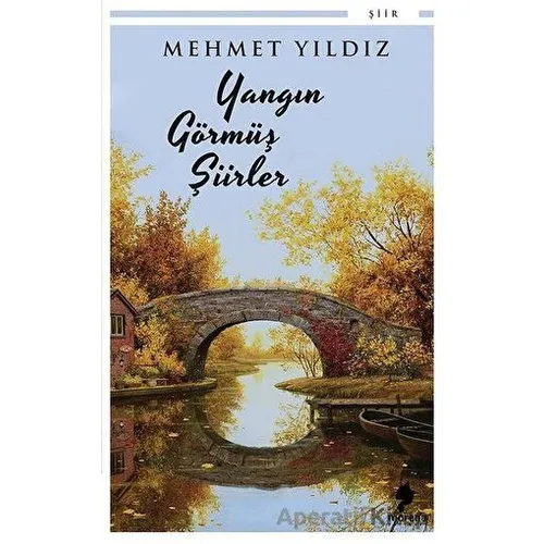 Yangın Görmüş Şiirler - Mehmet Yıldız - Morena Yayınevi