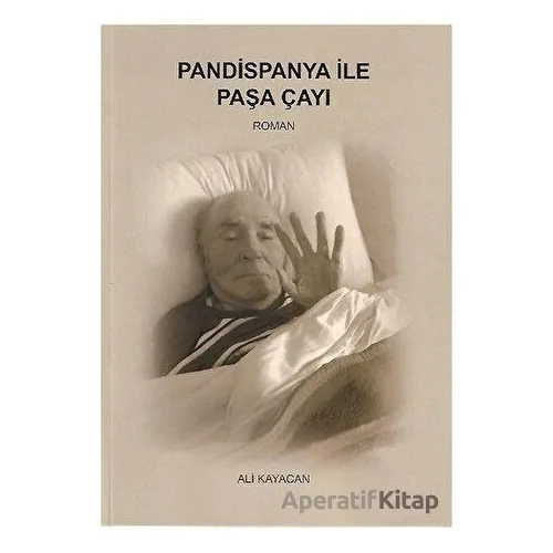Pandispanya İle Paşa Çayı - Ali Kayacan - Deka Yayınları