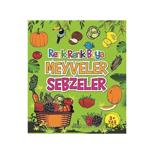 Meyveler Sebzeler - Renk Renk Boya - Serkan Karakoç - Pal Sokağı Yayınları