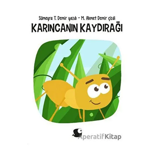 Karıncanın Kaydırağı - Sümeyra T. Demir - Balık Kitap