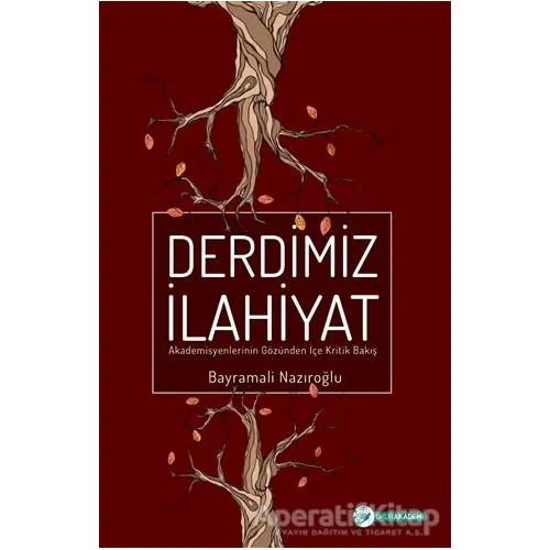 Derdimiz İlahiyat - Bayramali Nazıroğlu - Okur Akademi