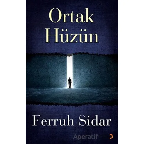 Ortak Hüzün - Ferruh Sidar - Cinius Yayınları