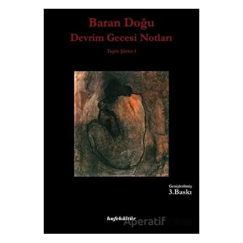 Devrim Gecesi Notları - Baran Doğu - Kafe Kültür Yayıncılık