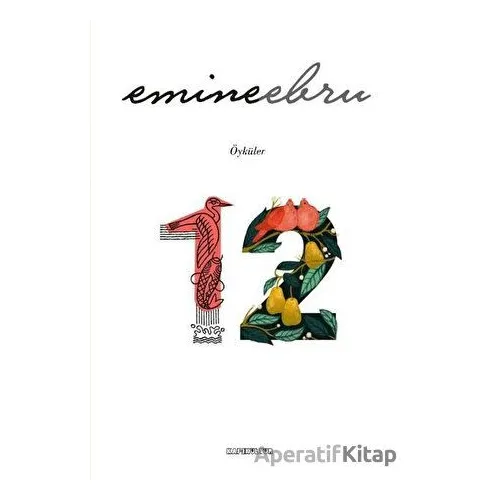 12 - Emine Ebru - Kafe Kültür Yayıncılık