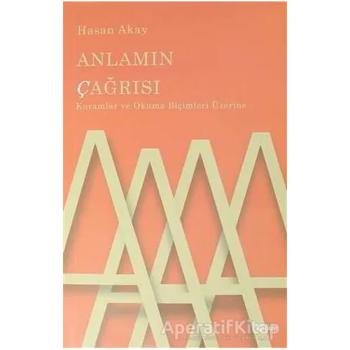 Anlamın Çağrısı - Hasan Akay - Şule Yayınları