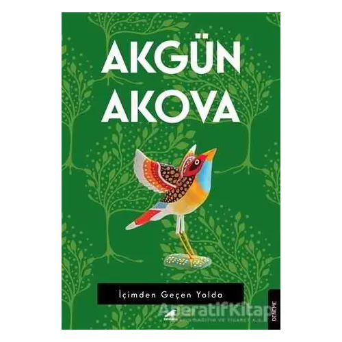 İçimden Geçen Yolda - Akgün Akova - Kara Karga Yayınları