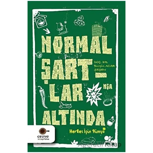 Normal Şartlar Altında - Burçin Acar Şeşen - Cezve Kitap