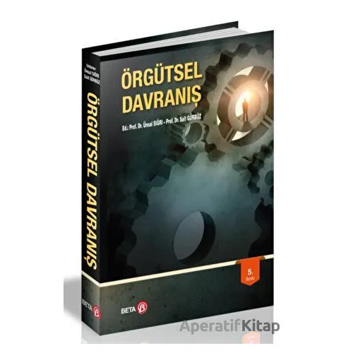 Örgütsel Davranış - Sait Gürbüz - Beta Yayınevi