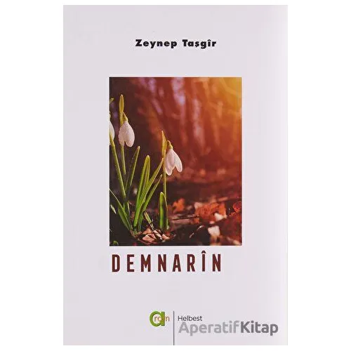 Demnarin - Zeynep Taşgir - Aram Yayınları