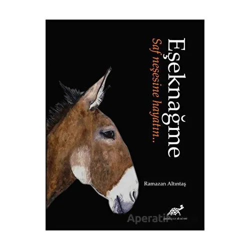 Eşeknağme - Ramazan Altıntaş - Paradigma Akademi Yayınları