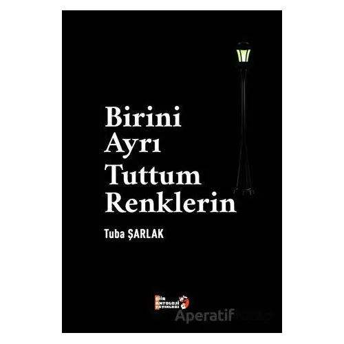 Birini Ayrı Tuttum Renklerin - Tuba Şarlak - Şiir Antoloji Yayınları