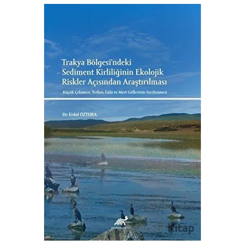 Trakya Bölgesindeki Sediment Kirliliğinin Ekolojik Riskler Açısından Araştırılması