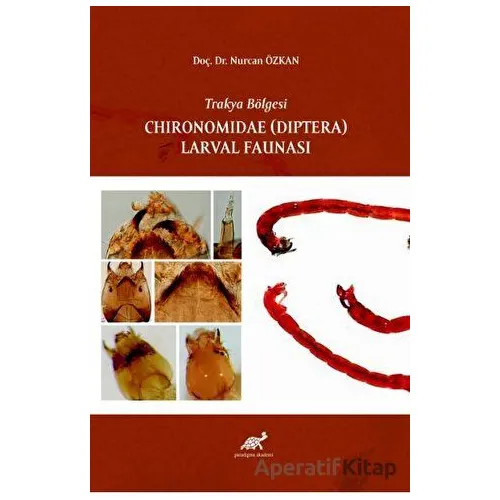 Trakya Bölgesi Chıronomıdae (Dıptera) Larval Faunası - Nurcan Özkan - Paradigma Akademi Yayınları