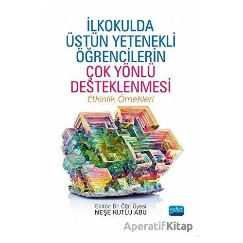 İlkokulda Üstün Yetenekli Öğrencilerin Çok Yönlü Desteklenmesi - Etkinlik Örnekleri