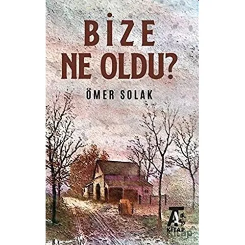 Bize Ne Oldu? - Ömer Solak - Kitap At Yayınları