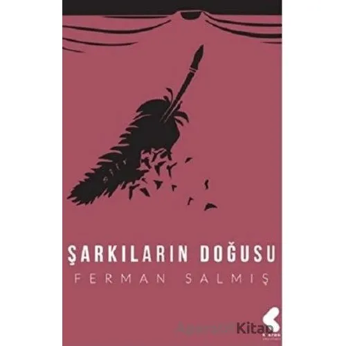 Şarkıların Doğuşu - Ferman Salmış - Klaros Yayınları