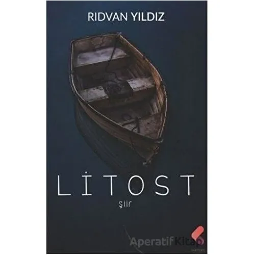 Litost - Rıdvan Yıldız - Klaros Yayınları