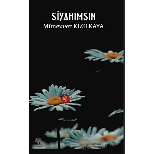 Siyahımsın - Münevver Kızılkaya - Platanus Publishing