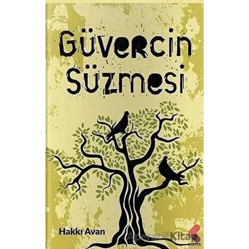 Güvercin Sürmesi - Hakkı Avan - Klaros Yayınları