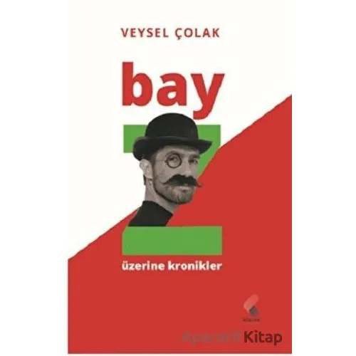 Bay Z Üzerine Kronikler - Veysel Çolak - Klaros Yayınları