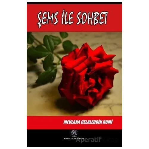 Şems İle Sohbet - Mevlana Celaleddin Rumi - Platanus Publishing