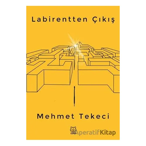 Labirentten Çıkış - Mehmet Tekeci - Luna Yayınları