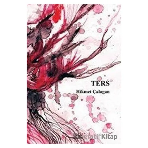 Ters - Hikmet Çalagan - Vate Yayınevi