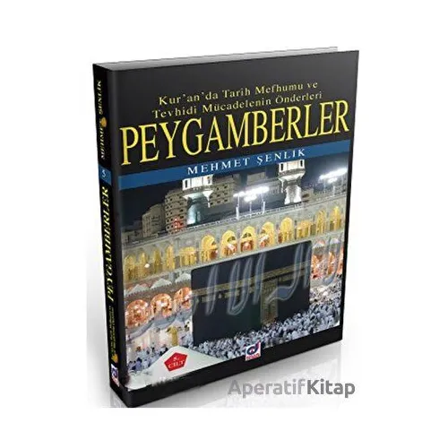 Peygamberler 3. Cilt: Kuranda Tarih Mefhumu ve Tevhidi Mücadelenin Önderleri