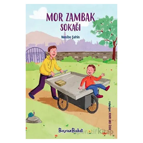 Mor Zambak Sokağı - Nesibe Şahin - Beyaz Bulut Kitap