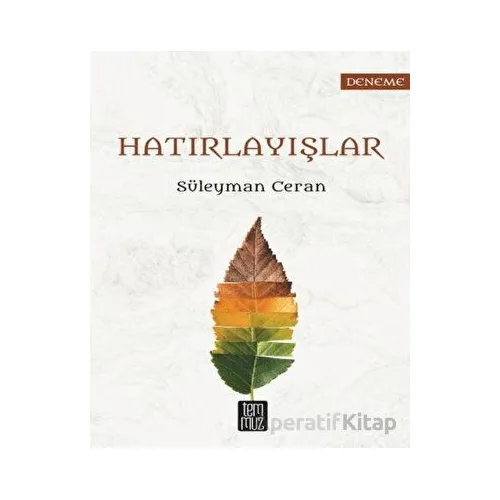 Hatırlayışlar - Süleyman Ceran - Temmuz Yayınları