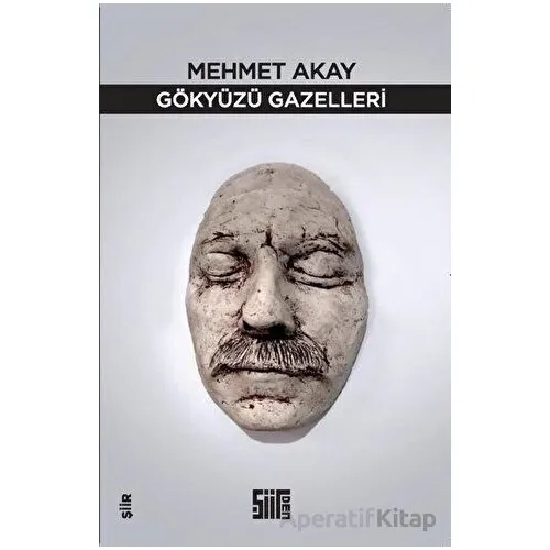 Gökyüzü Gazelleri - Mehmet Akay - Şiirden Yayıncılık