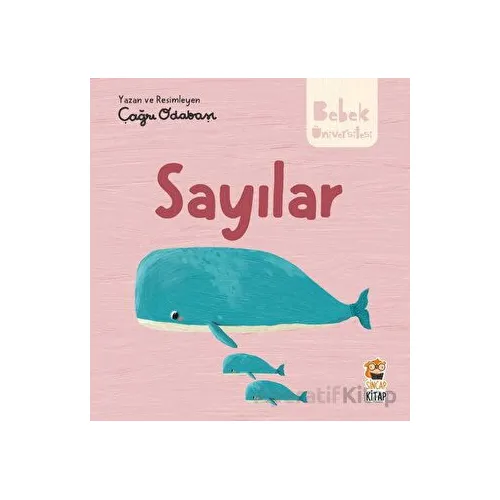 Hikayeli İlk Kavramlarım - Sayılar - Çağrı Odabaşı - Sincap Kitap