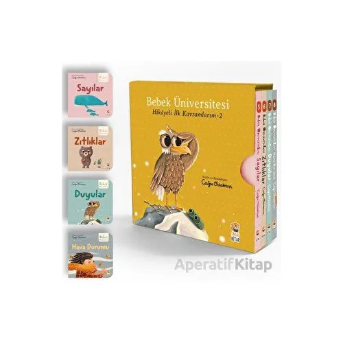 Bebek Üniversitesi 2 - Hikayeli İlk Kavramlarım Set (4 Kitap) - Çağrı Odabaşı - Sincap Kitap