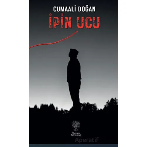 İpin Ucu - Cumaali Doğan - Platanus Publishing