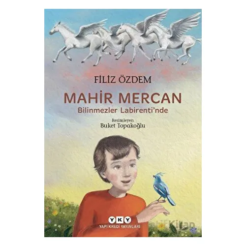 Mahir Mercan - Bilinmezler Labirentinde - Filiz Özdem - Yapı Kredi Yayınları