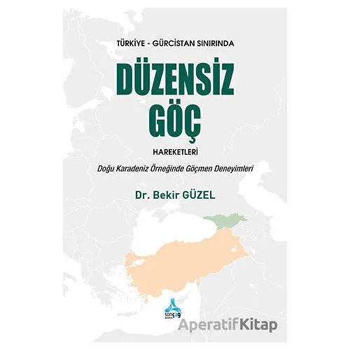 Türkiye - Gürcistan Sınırında Düzensiz Göç Hareketleri: Doğu Karadeniz Örneğinde Göçmen Deneyimleri
