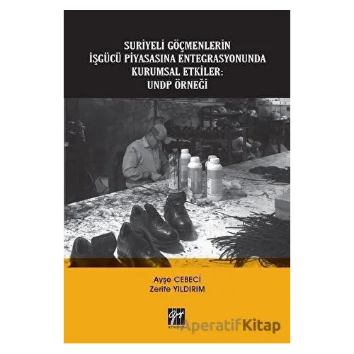 Suriyeli Göçmenlerin İşgücü Piyasasına Entegrasyonunda Kurumsal Etkiler: UNDP Örneği