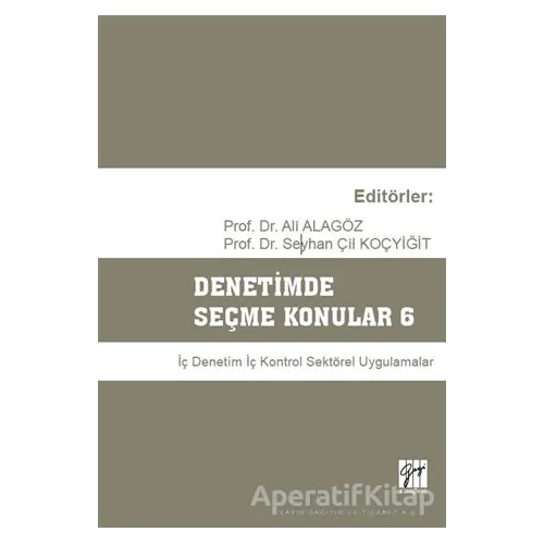 Denetimde Seçme Konular 6 - Seyhan Çil Koçyiğit - Gazi Kitabevi