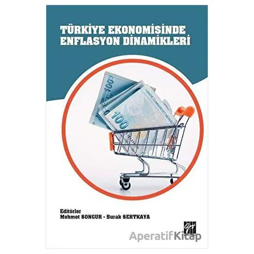 Türkiye Ekonomisinde Enflasyon Dinamikleri - Burak Sertkaya - Gazi Kitabevi