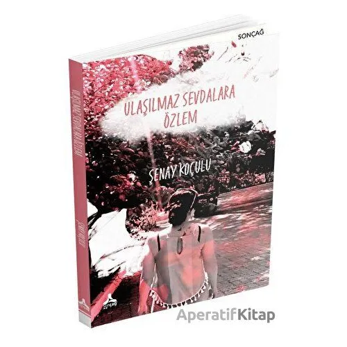 Ulaşılmaz Sevdalara Özlem - Şenay Koçulu - Sonçağ Yayınları