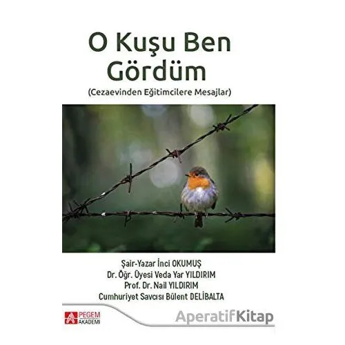 O Kuşu Ben Gördüm - Nail Yıldırım - Pegem Akademi Yayıncılık