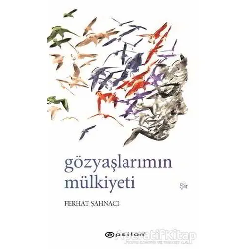 Gözyaşlarımın Mülkiyeti - Ferhat Şahnacı - Epsilon Yayınevi