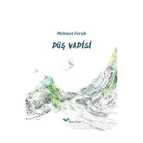 Düş Vadisi - Mehmet Ferah - Başka Yerler Yayınları