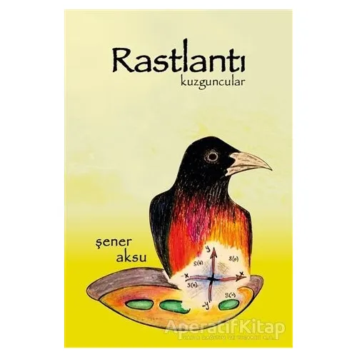 Rastlantı - Şener Aksu - Aydili Sanat Yayınları