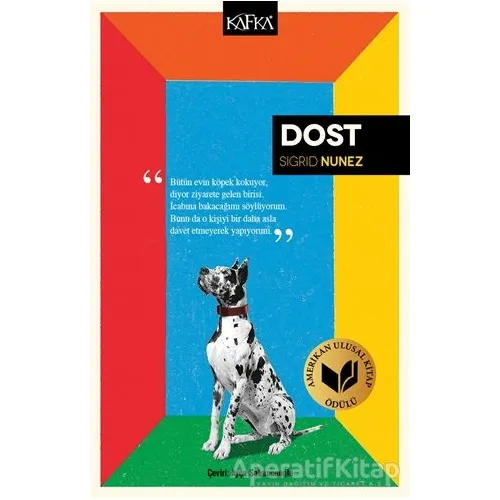 Dost - Sigrid Nunez - Kafka Kitap
