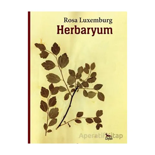 Herbaryum - Rosa Luxemburg - Ceylan Yayınları