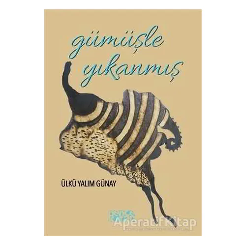 Gümüşle Yıkanmış - Ülkü Yalım Günay - Bencekitap