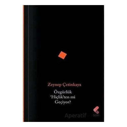 Özgürlük Hiçlikten mi Geçiyor? - Zeynep Çetinkaya - Klaros Yayınları