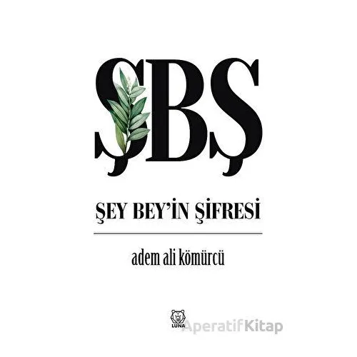 Şey Bey’in Şifresi - Adem Ali Kömürcü - Luna Yayınları